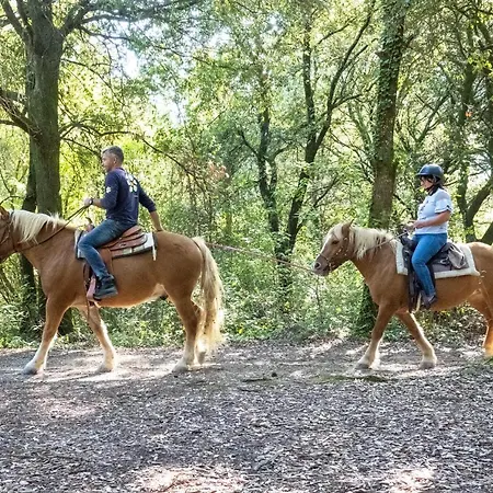 Farm stay Casal Cerqueto