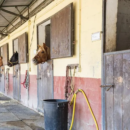 Casal Cerqueto Farm stay